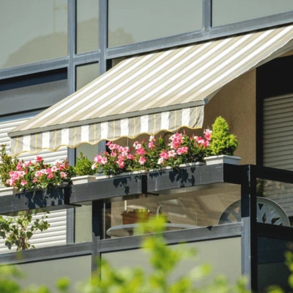 71PQkAhaHIL._SL1001 (3)